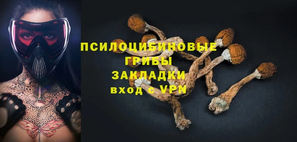 сатива Абдулино