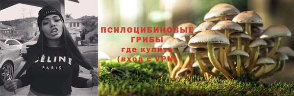 сатива Абдулино