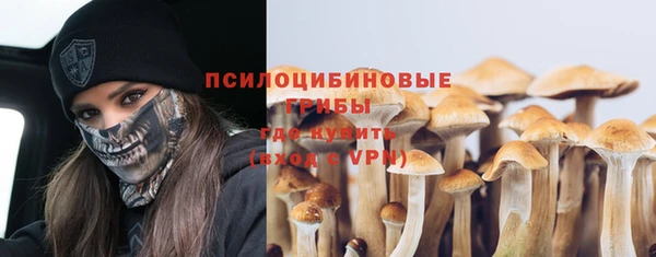 соль ск Медногорск